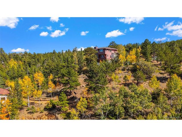 45 Alpine Dr, Nederland, CO 80466