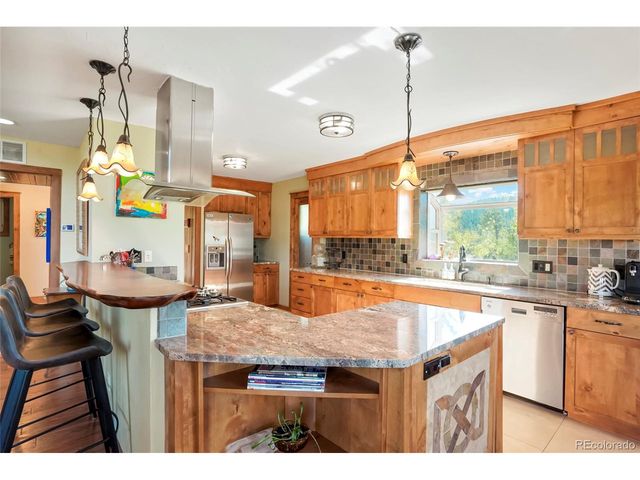 45 Alpine Dr, Nederland, CO 80466