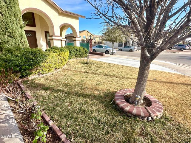 3100 TIERRA NORA Drive, El Paso, TX 79938