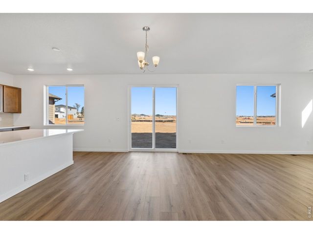 1448 Boyle St, Windsor, CO 80550