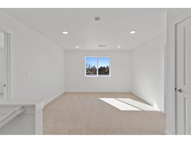 1448 Boyle St, Windsor, CO 80550