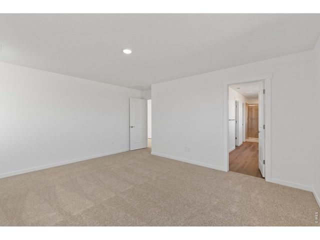 1448 Boyle St, Windsor, CO 80550