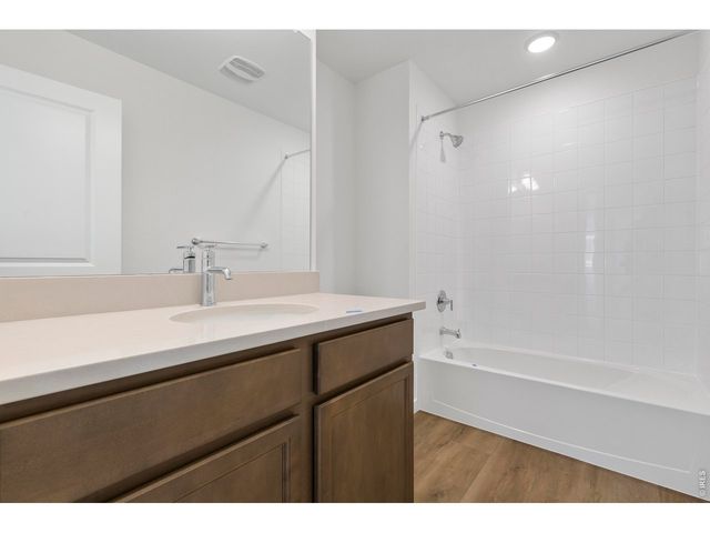 1448 Boyle St, Windsor, CO 80550