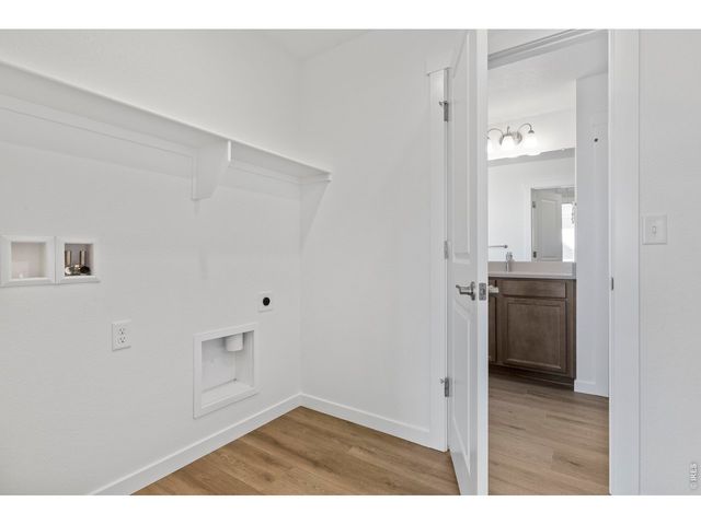 1448 Boyle St, Windsor, CO 80550