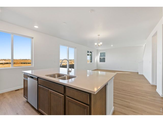 1448 Boyle St, Windsor, CO 80550