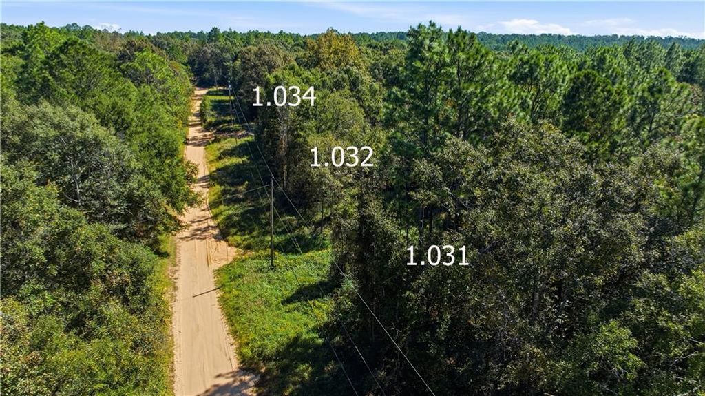 0 Miller Branch Lane, Chunchula, AL 36521 — photo 2