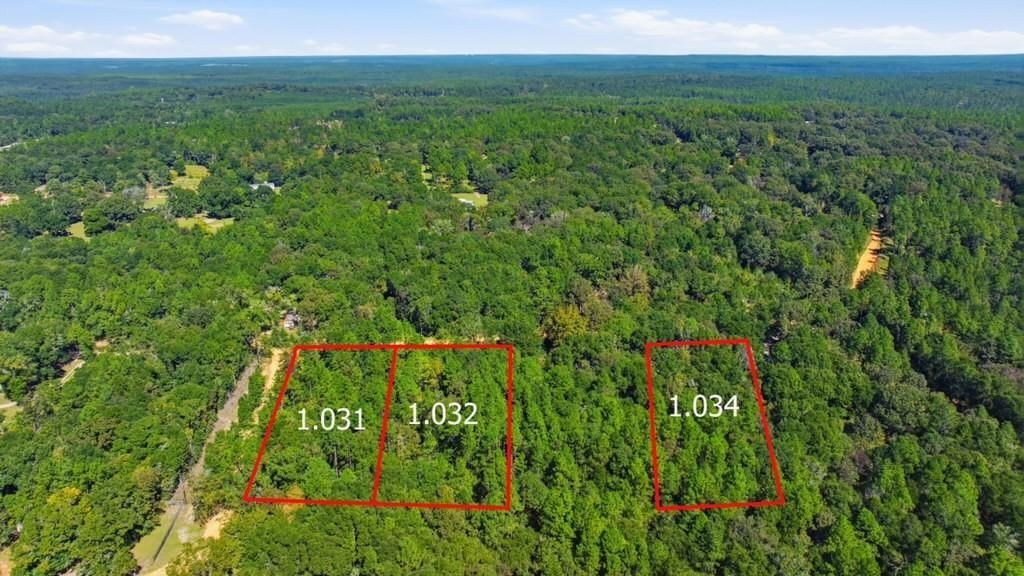 0 Miller Branch Lane, Chunchula, AL 36521 — photo 3