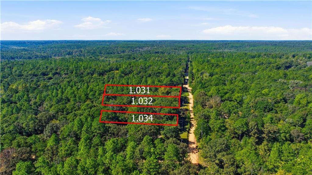 0 Miller Branch Lane, Chunchula, AL 36521 — photo 4