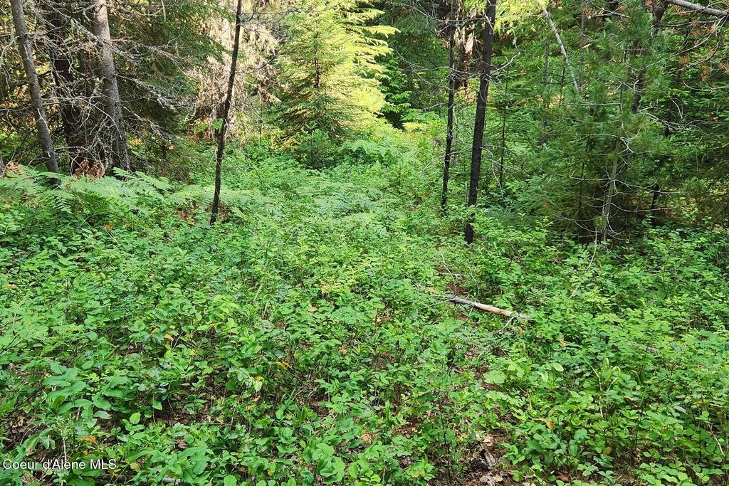 000 Reeder Bay Rd, Nordman, ID 83848