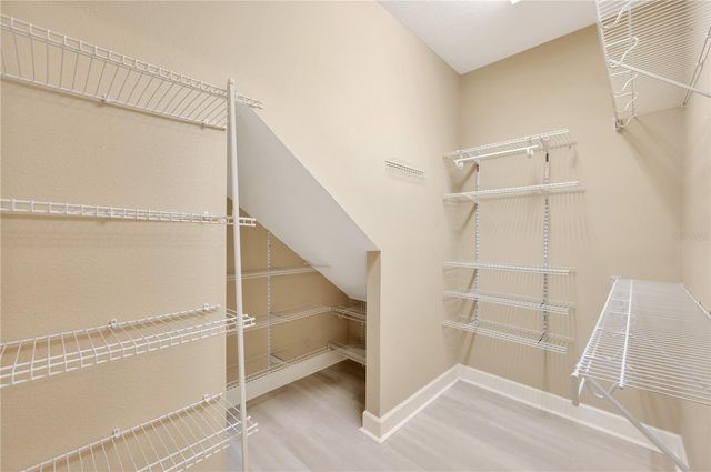 16065 BELLA WOODS DRIVE, Tampa, FL 33647