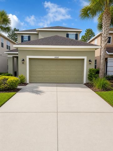16065 BELLA WOODS DRIVE, Tampa, FL 33647