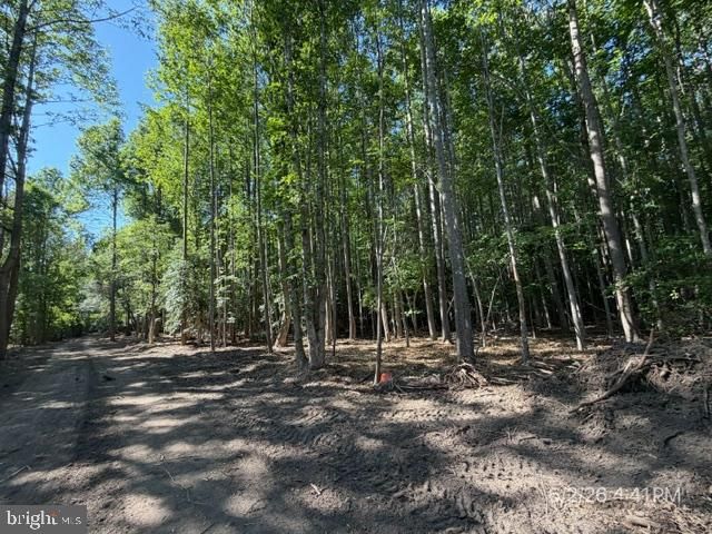 LOT 1 BENSON RD., Lincoln, DE 19960