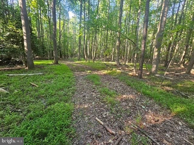 LOT 1 BENSON RD., Lincoln, DE 19960