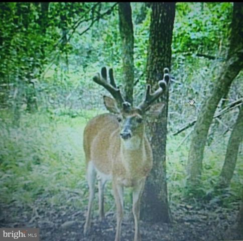 LOT 1 BENSON RD., Lincoln, DE 19960