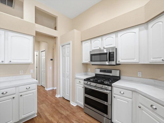 19607 MORDEN BLUSH DRIVE, Lutz, FL 33558