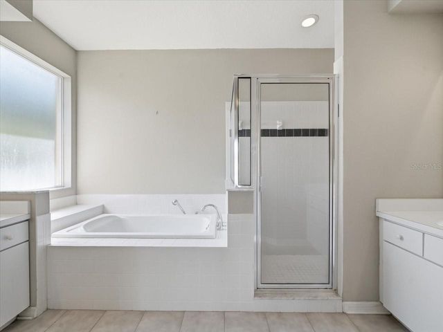 19607 MORDEN BLUSH DRIVE, Lutz, FL 33558