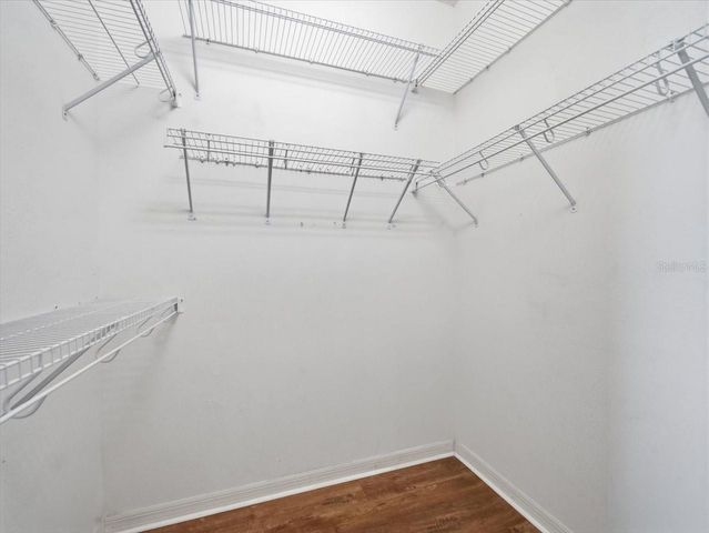 19607 MORDEN BLUSH DRIVE, Lutz, FL 33558