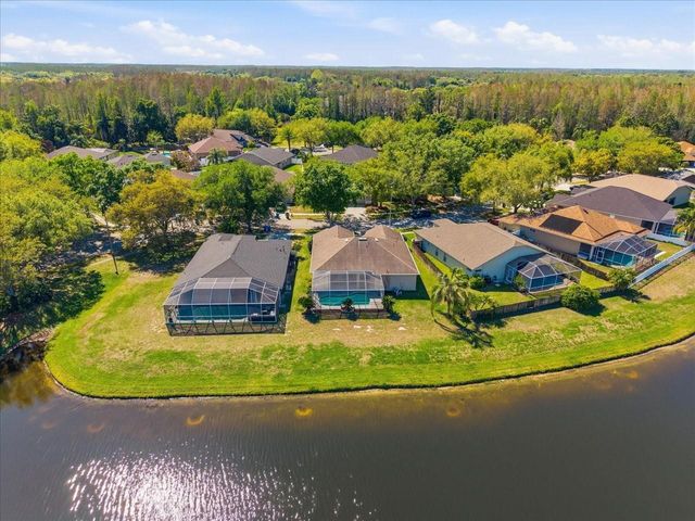 19607 MORDEN BLUSH DRIVE, Lutz, FL 33558