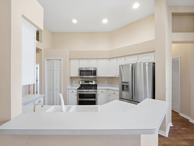 19607 MORDEN BLUSH DRIVE, Lutz, FL 33558