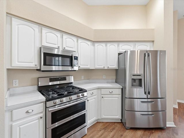 19607 MORDEN BLUSH DRIVE, Lutz, FL 33558