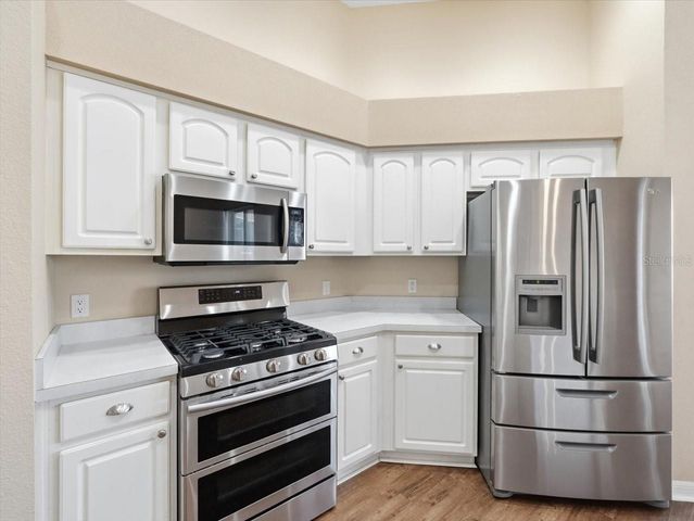 19607 MORDEN BLUSH DRIVE, Lutz, FL 33558