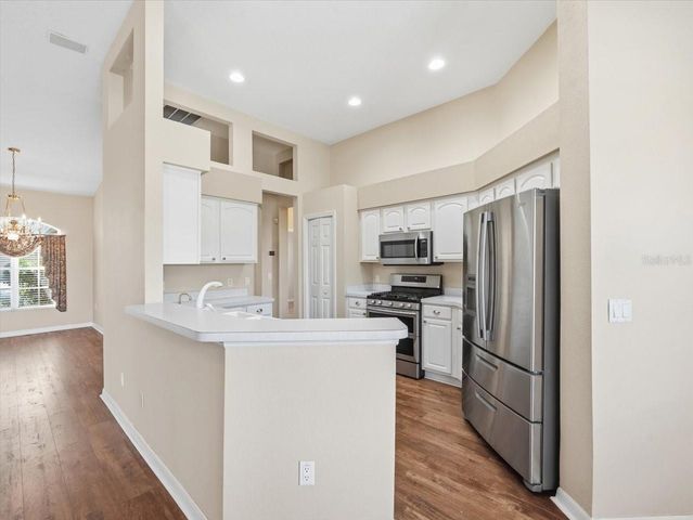 19607 MORDEN BLUSH DRIVE, Lutz, FL 33558