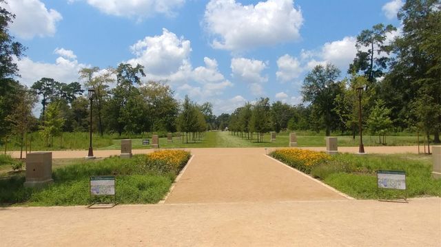 4515 Briar Hollow Place 315, Houston, TX 77027