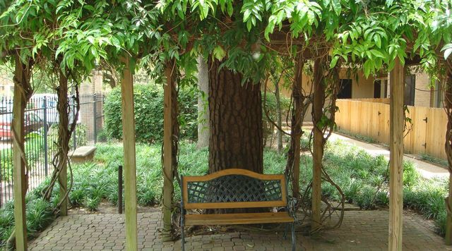 4515 Briar Hollow Place 315, Houston, TX 77027