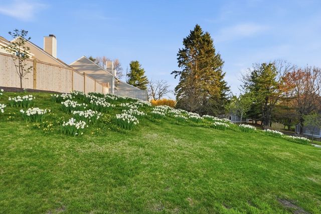 59 Hillside Dr 59, Wayland, MA 01778