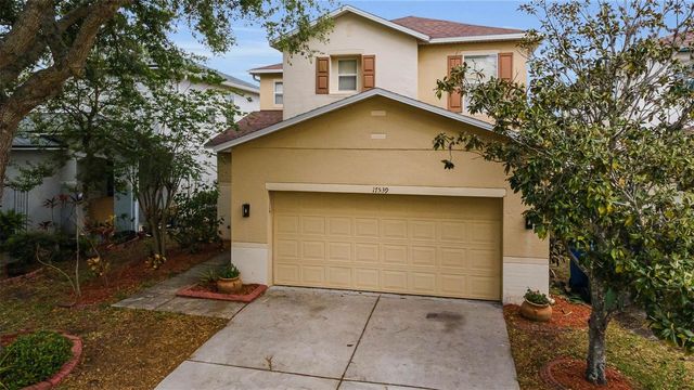 17539 BALMAHA DRIVE, Land O Lakes, FL 34638