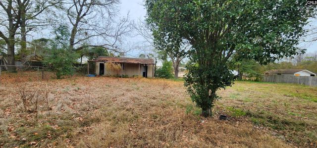 113 Grace Street Street, Lexington, SC 29072