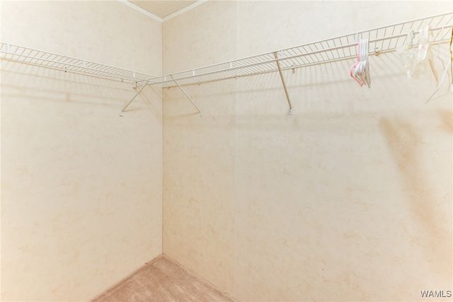 12184 Barger Road, Tuscaloosa, AL 35406