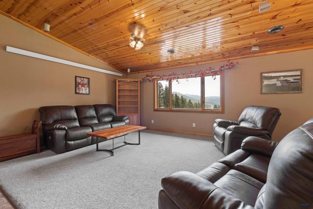 11674 BROOK DR, Hill City, SD 57745