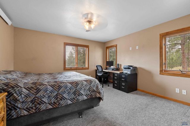 11674 BROOK DR, Hill City, SD 57745