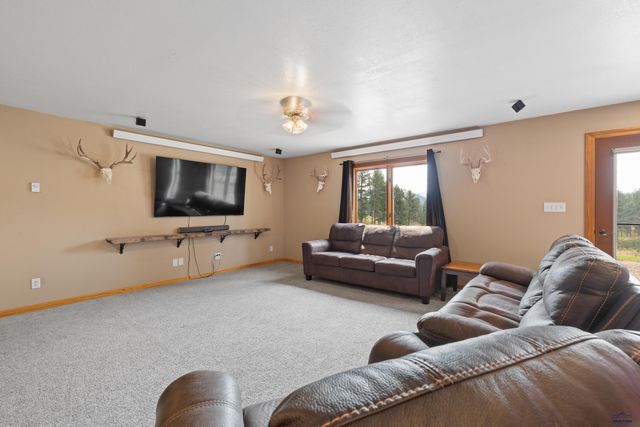 11674 BROOK DR, Hill City, SD 57745