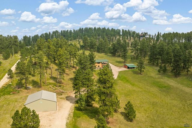 11674 BROOK DR, Hill City, SD 57745