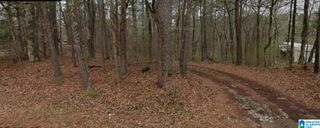 7420 DEWEY GOODWIN ROAD, Pinson, AL 35126