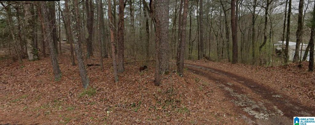 7420 DEWEY GOODWIN ROAD, Pinson, AL 35126