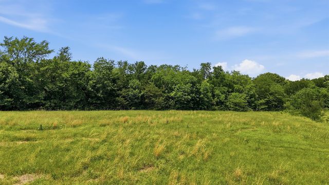 6.597 Acres Hwy 289 Highway, Pottsboro, TX 75076