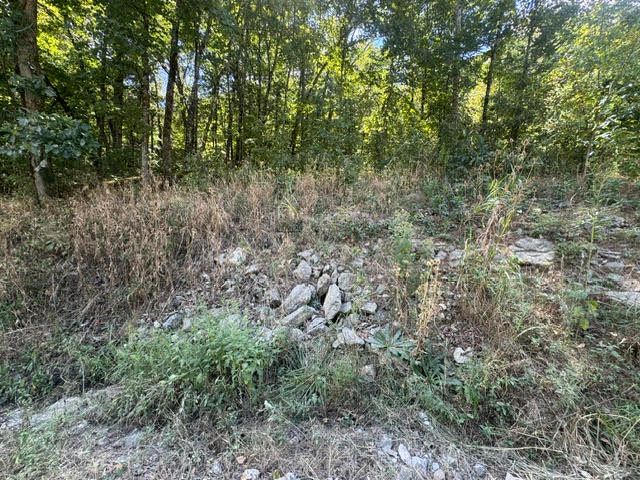 56 Stateline Drive, Holiday Island, AR 72631