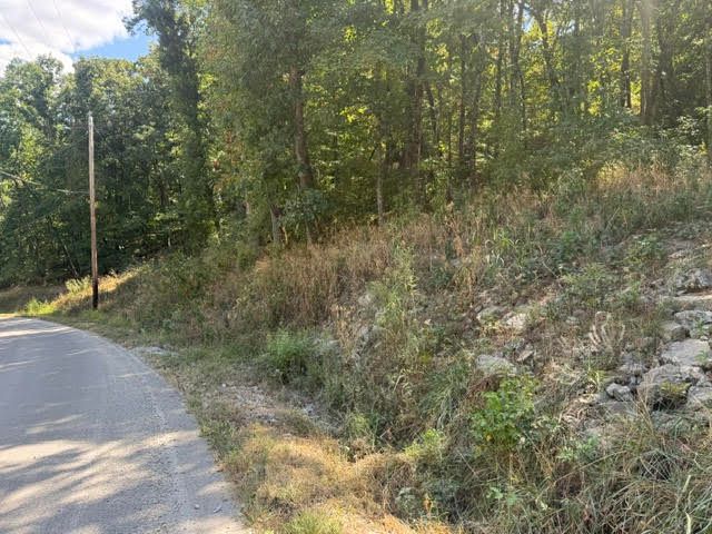 56 Stateline Drive, Holiday Island, AR 72631