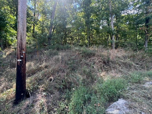 56 Stateline Drive, Holiday Island, AR 72631
