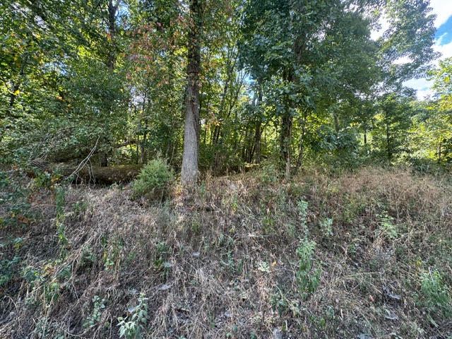 56 Stateline Drive, Holiday Island, AR 72631