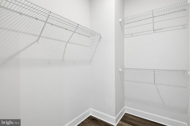 2598 POTTING SHED LN, Frederick, MD 21702