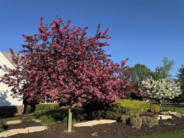 1810 E Bristlecone DRIVE, Hartland, WI 53029