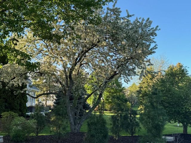 1810 E Bristlecone DRIVE, Hartland, WI 53029