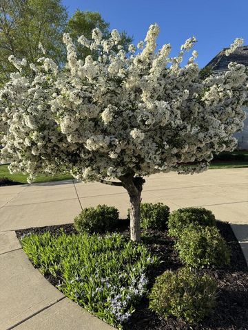 1810 E Bristlecone DRIVE, Hartland, WI 53029