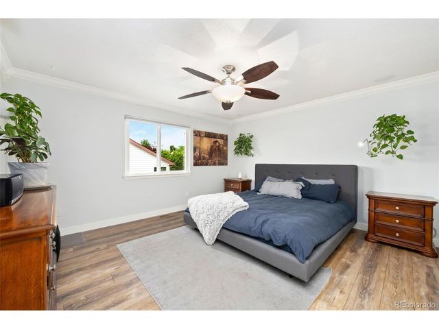 3696 Downieville St, Loveland, CO 80538