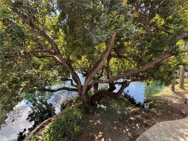 7890 E Spring 4V, Long Beach, CA 90815