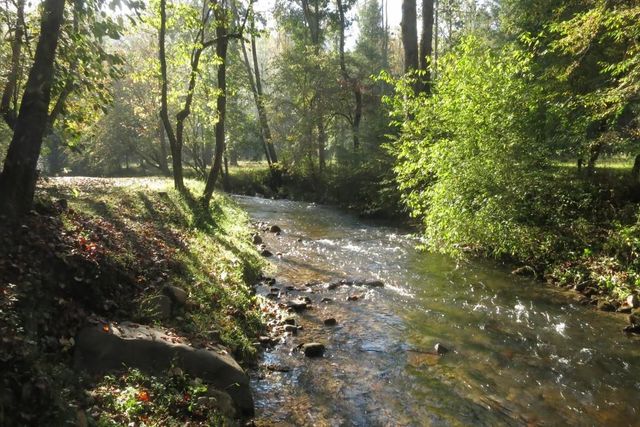 TR 1 Old Anderson Creek, Ellijay, GA 30536